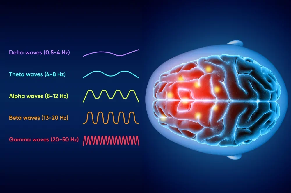 Graphic art showing brainwaves and brain